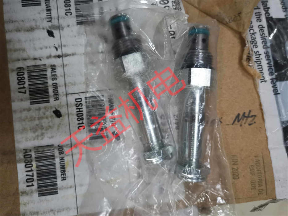 DSH081C.jpg
